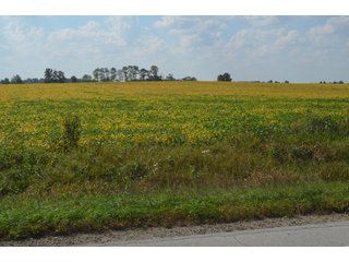 Property photo 16 - REAL ESTATE AUCTION - 604+/- ACRES IN 14 TRACTS IN MERCER CO., OHIO